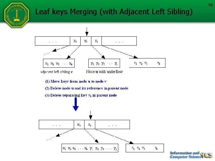 Leaf keys Merging (with Adjacent Left Sibling) 56 