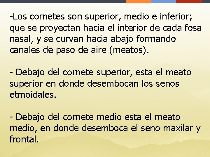 -Los cornetes son superior, medio e inferior; que se proyectan hacia el interior de