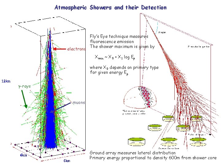 Atmospheric Showers and their Detection electrons Fly’s Eye technique measures fluorescence emission The shower