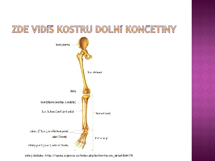 zdroj obrázku: http: //vyuka. zsjarose. cz/index. php? action=lesson_detail&id=376 zdroj obrázku: http: //vyuka. zsjarose. cz/index. php? action=lesson_detail&id=376