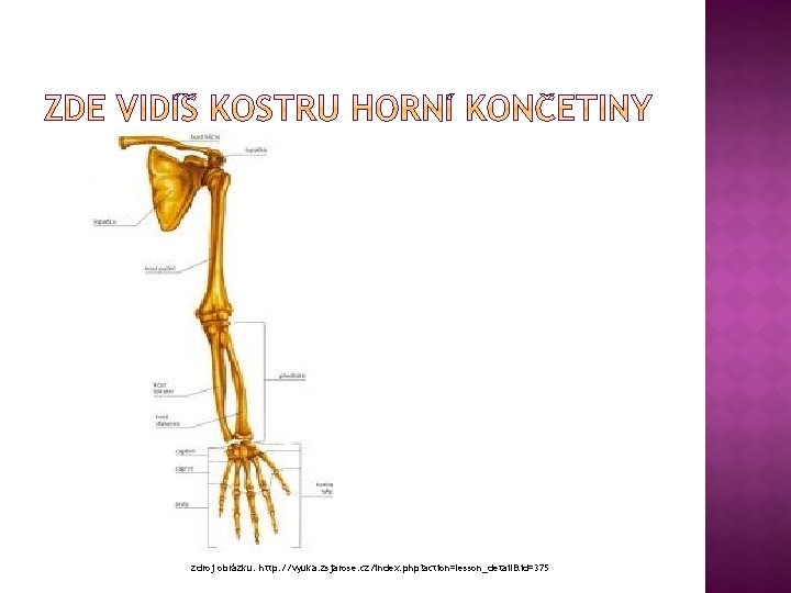 zdroj obrázku: http: //vyuka. zsjarose. cz/index. php? action=lesson_detail&id=375 