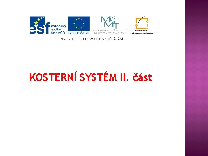 KOSTERNÍ SYSTÉM II. část 