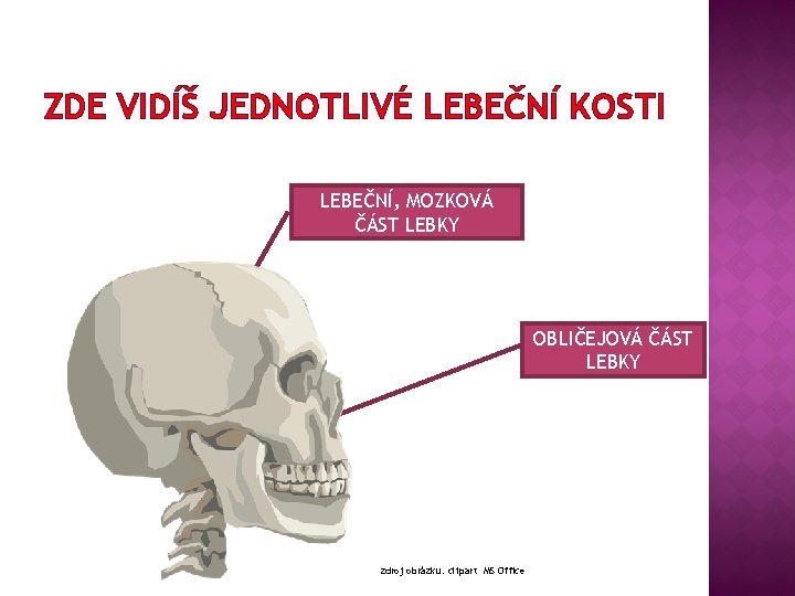 ZDE VIDÍŠ JEDNOTLIVÉ LEBEČNÍ KOSTI LEBEČNÍ, MOZKOVÁ ČÁST LEBKY OBLIČEJOVÁ ČÁST LEBKY zdroj obrázku: