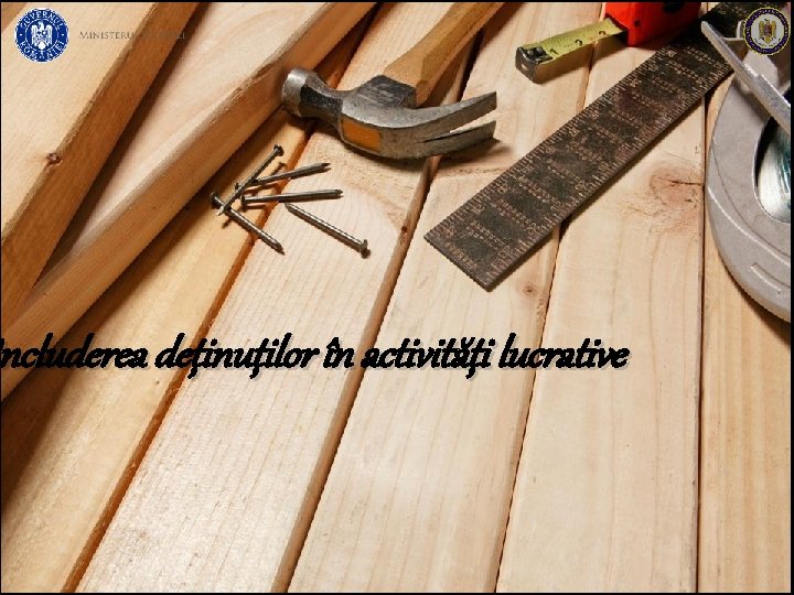 ncluderea deținuților în activități lucrative Includerea 