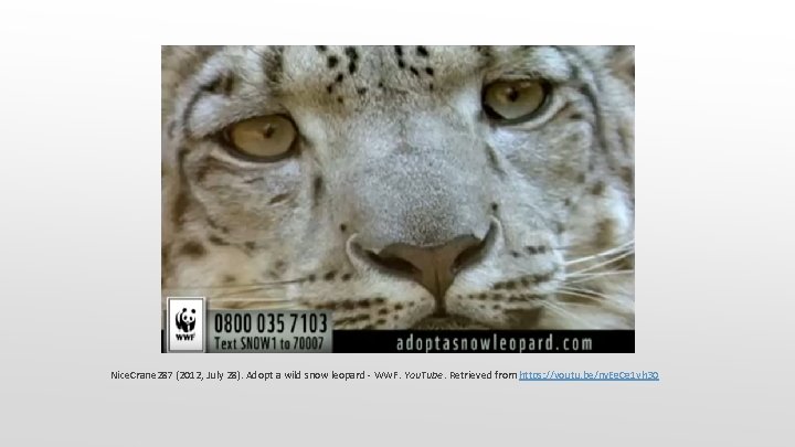 Nice. Crane 287 (2012, July 28). Adopt a wild snow leopard - WWF. You. Nice. Crane 287 (2012, July 28). Adopt a wild snow leopard - WWF. You.