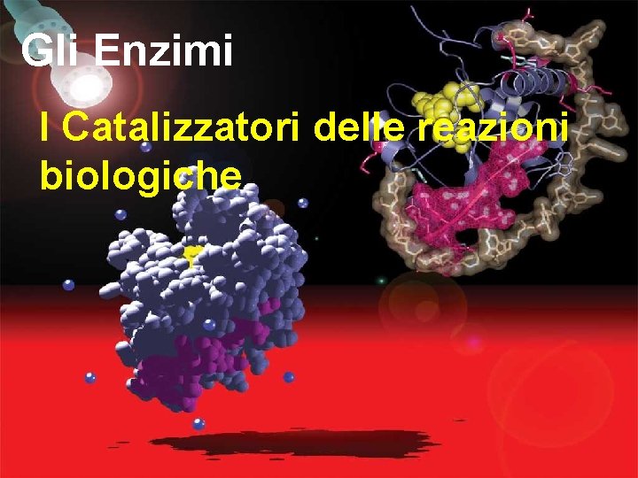 Gli Enzimi I Catalizzatori delle reazioni biologiche 