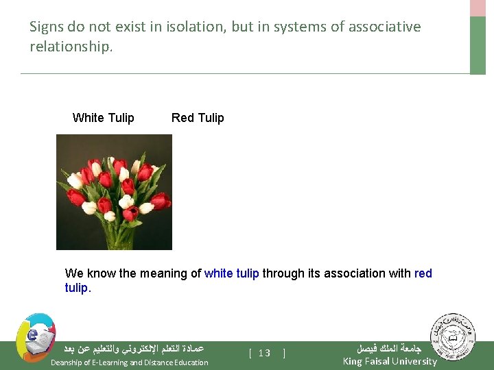 Signs do not exist in isolation, but in systems of associative relationship. White Tulip