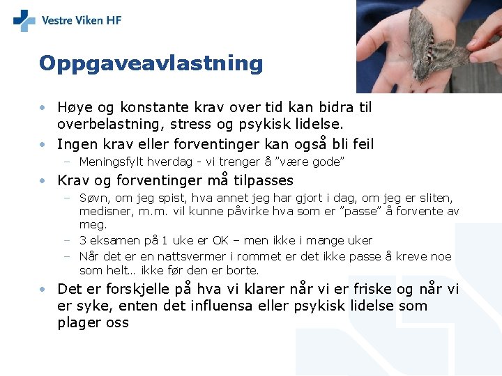 Oppgaveavlastning • Høye og konstante krav over tid kan bidra til overbelastning, stress og