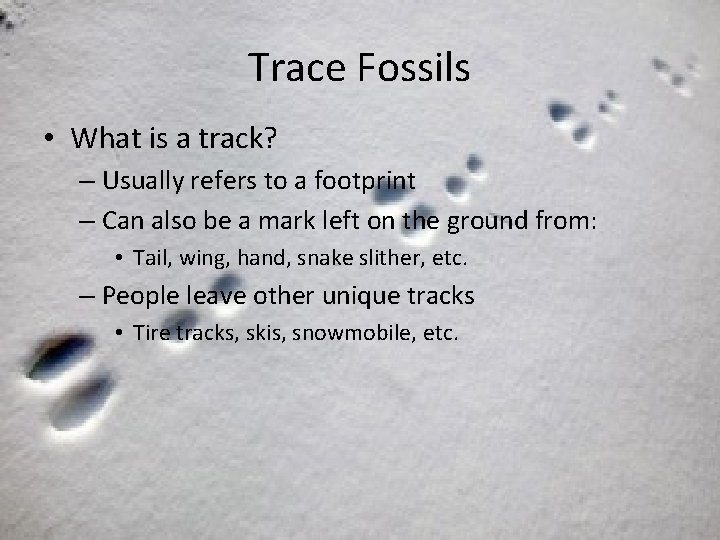 Trace Fossils • What is a track? – Usually refers to a footprint –