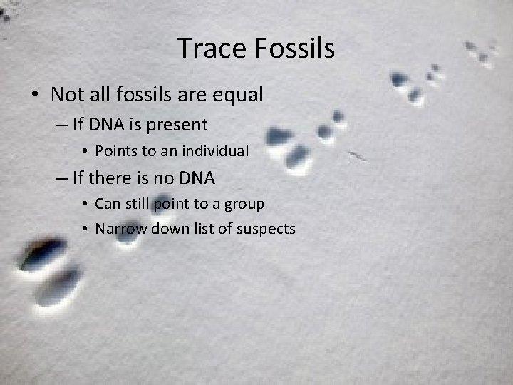 Trace Fossils • Not all fossils are equal – If DNA is present •