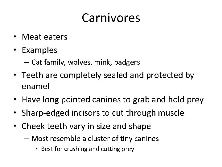 Carnivores • Meat eaters • Examples – Cat family, wolves, mink, badgers • Teeth