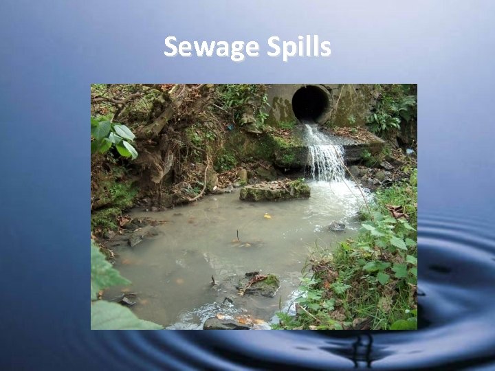Sewage Spills 