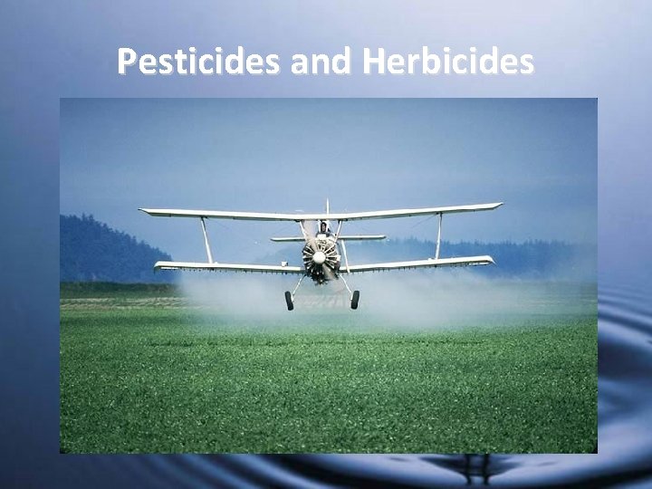 Pesticides and Herbicides 