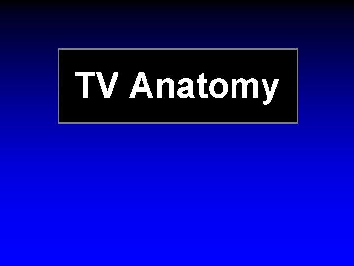 TV Anatomy TV Anatomy