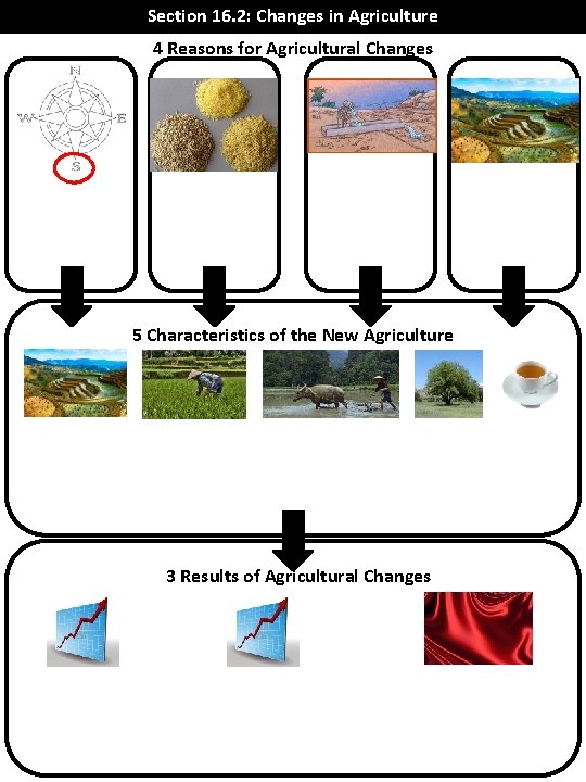 Section 16. 2: Changes in Agriculture 4 Reasons for Agricultural Changes 5 Characteristics of