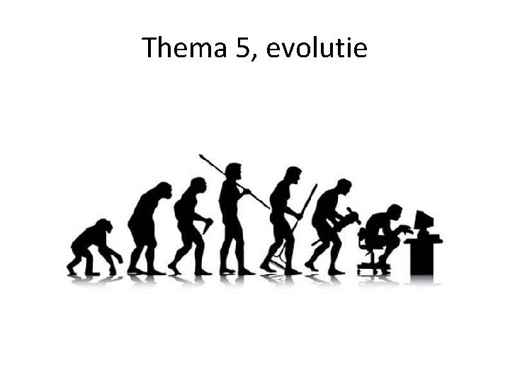 Thema 5, evolutie 
