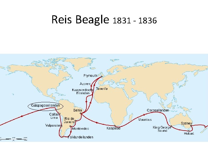 Reis Beagle 1831 - 1836 