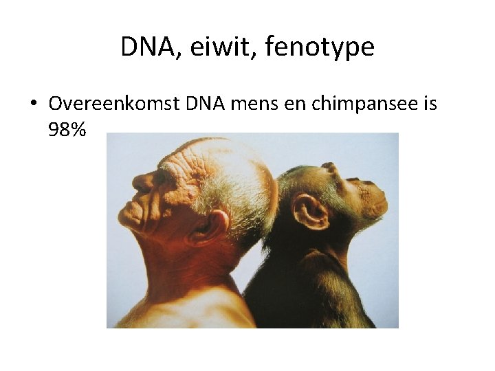 DNA, eiwit, fenotype • Overeenkomst DNA mens en chimpansee is 98% 
