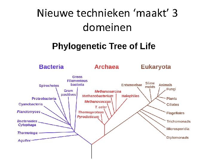 Nieuwe technieken ‘maakt’ 3 domeinen 