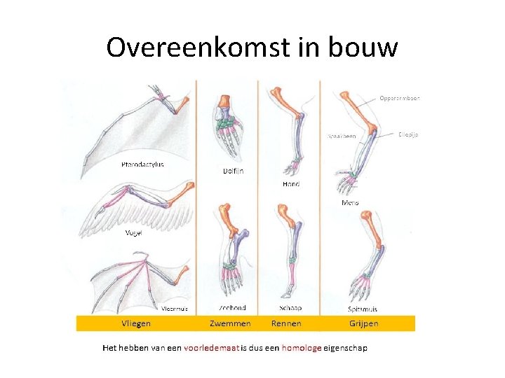 Overeenkomst in bouw 