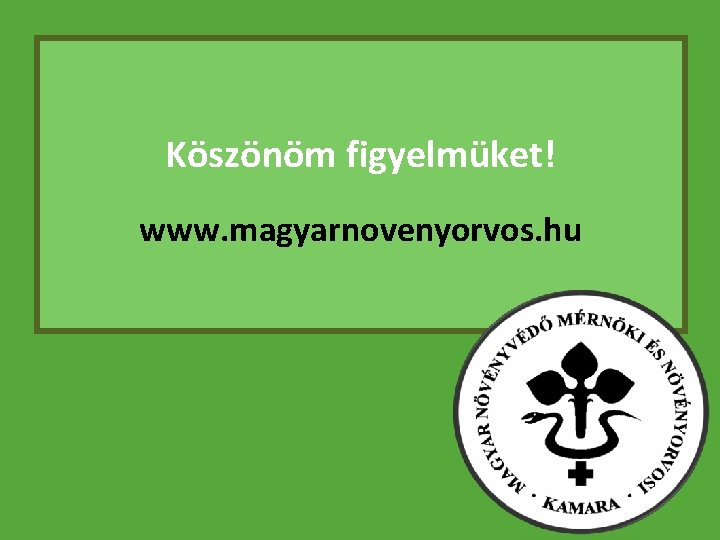 Köszönöm figyelmüket! www. magyarnovenyorvos. hu 