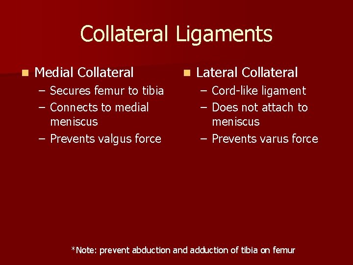 Collateral Ligaments n Medial Collateral – Secures femur to tibia – Connects to medial