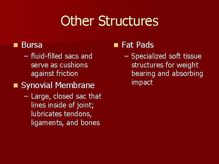 Other Structures n Bursa – fluid-filled sacs and serve as cushions against friction n