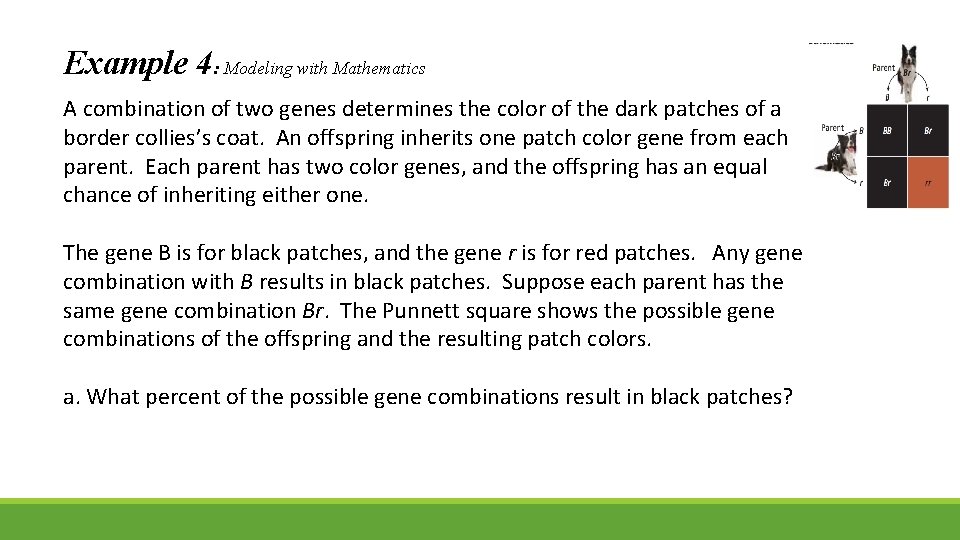 Example 4: Modeling with Mathematics A combination of two genes determines the color of