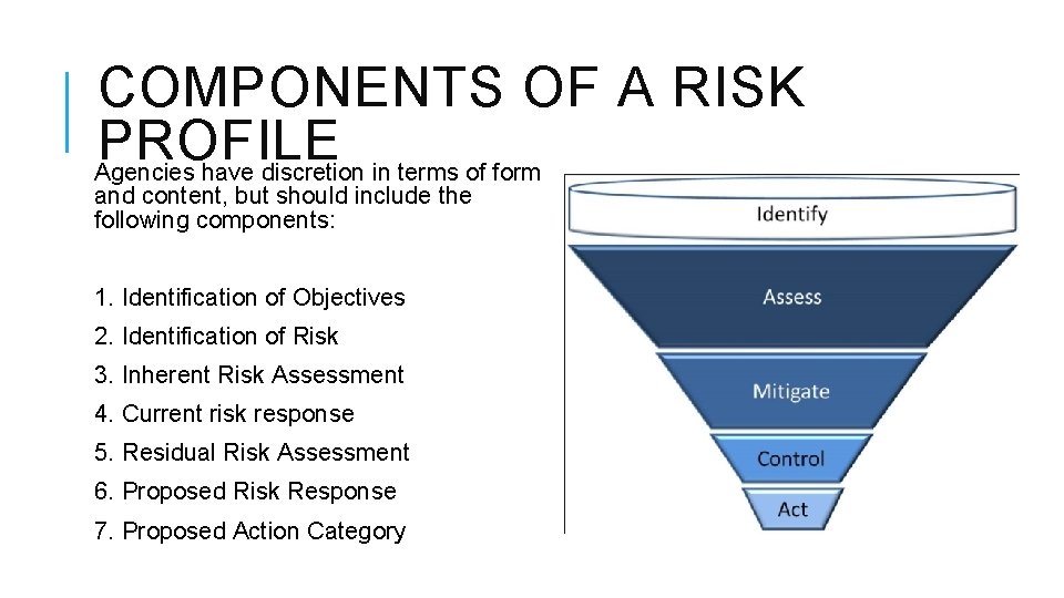 COMPONENTS OF A RISK PROFILE Agencies have discretion in terms of form and content,