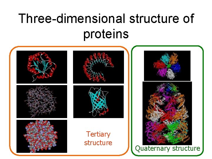 Three-dimensional structure of proteins Tertiary structure Quaternary structure Three-dimensional structure of proteins Tertiary structure Quaternary structure