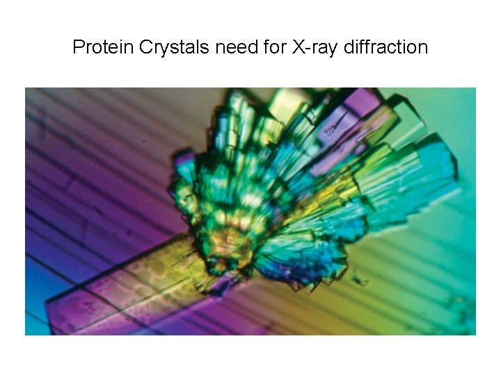 Protein Crystals need for X-ray diffraction Protein Crystals need for X-ray diffraction