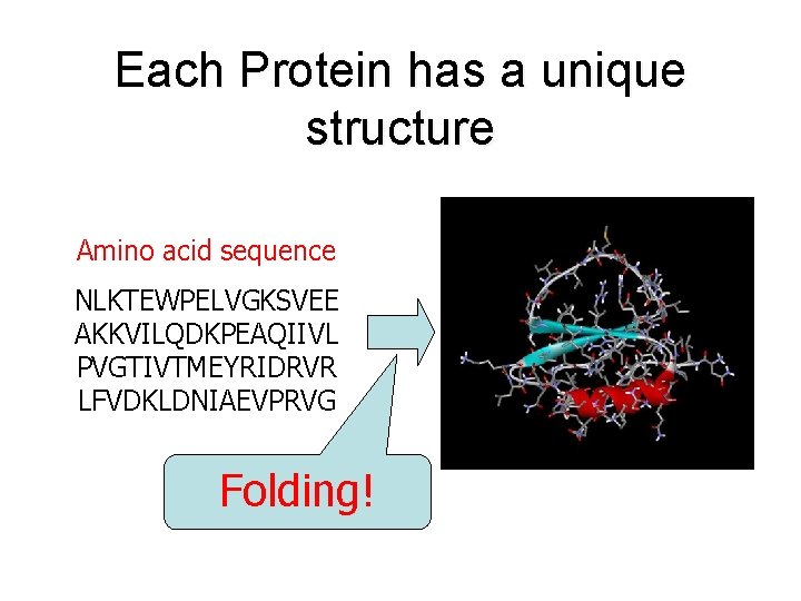 Each Protein has a unique structure Amino acid sequence NLKTEWPELVGKSVEE AKKVILQDKPEAQIIVL PVGTIVTMEYRIDRVR LFVDKLDNIAEVPRVG Folding! Each Protein has a unique structure Amino acid sequence NLKTEWPELVGKSVEE AKKVILQDKPEAQIIVL PVGTIVTMEYRIDRVR LFVDKLDNIAEVPRVG Folding!