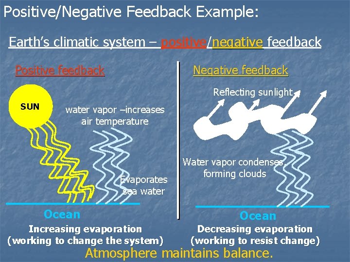 Positive/Negative Feedback Example: Earth’s climatic system – positive/negative feedback Positive feedback Negative feedback Reflecting