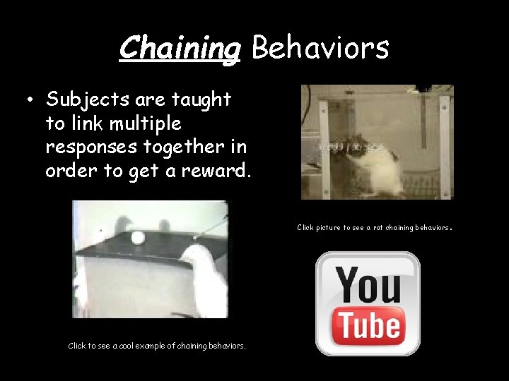 Chaining Behaviors • Subjects are taught to link multiple responses together in order to
