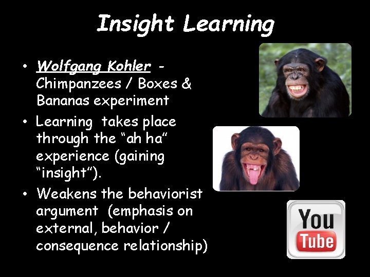 Insight Learning • Wolfgang Kohler Chimpanzees / Boxes & Bananas experiment • Learning takes