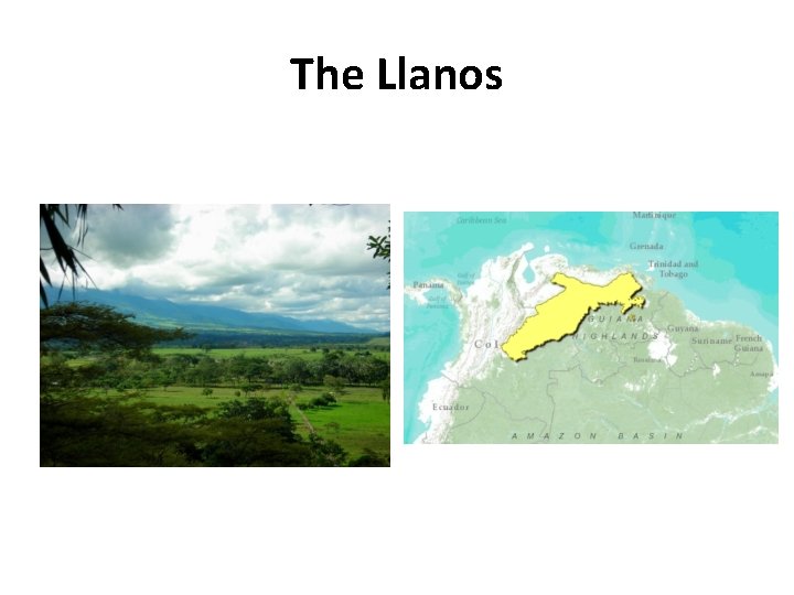 The Llanos 