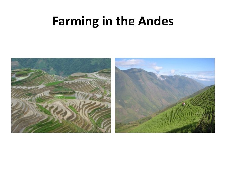 Farming in the Andes 
