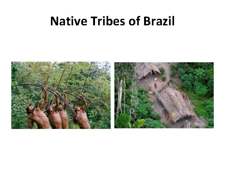 Native Tribes of Brazil 