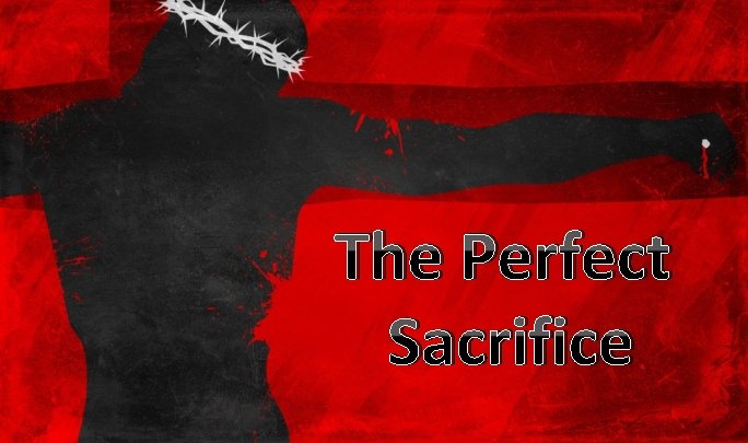 The Perfect Sacrifice 