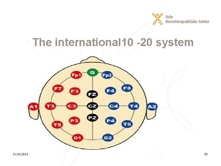 The international 10 -20 system 21. 02. 2021 28 