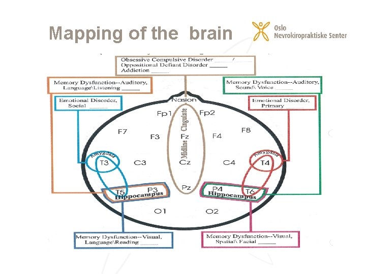 Mapping of the brain 