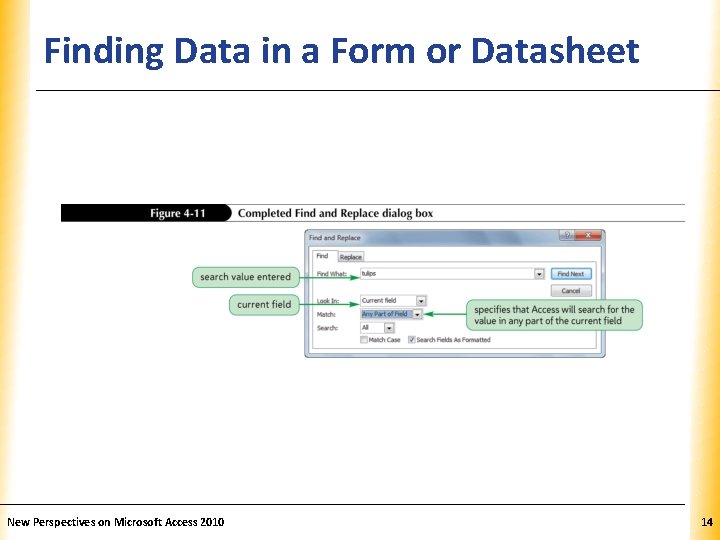 Finding Data in a Form or Datasheet New Perspectives on Microsoft Access 2010 XP