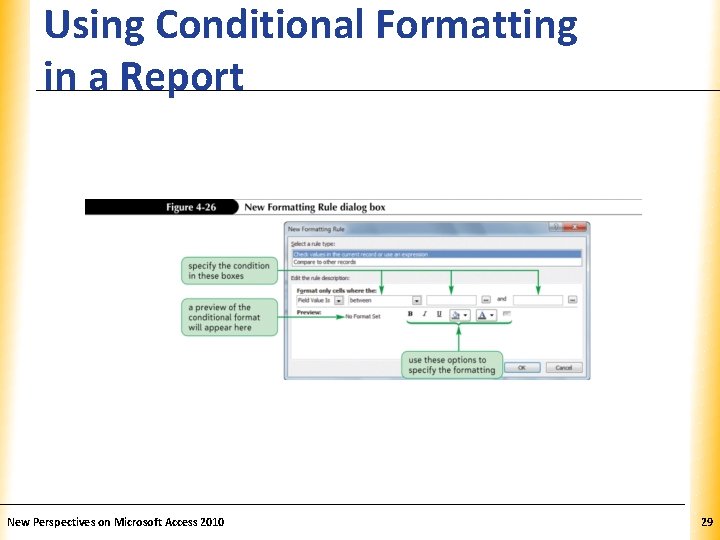 Using Conditional Formatting in a Report New Perspectives on Microsoft Access 2010 XP 29