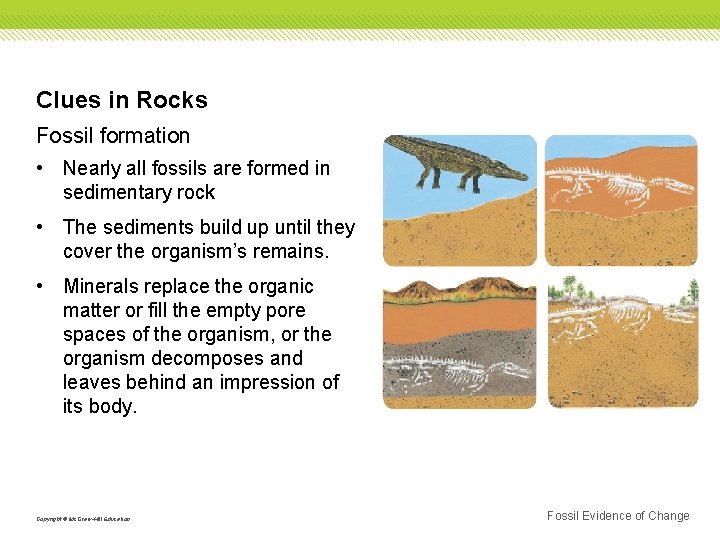 Clues in Rocks Fossil formation • Nearly all fossils are formed in sedimentary rock