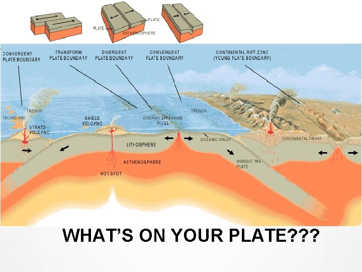 WHAT’S ON YOUR PLATE? ? ? 