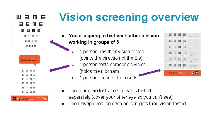 Vision screening overview ● You are going to test each other’s vision, working in