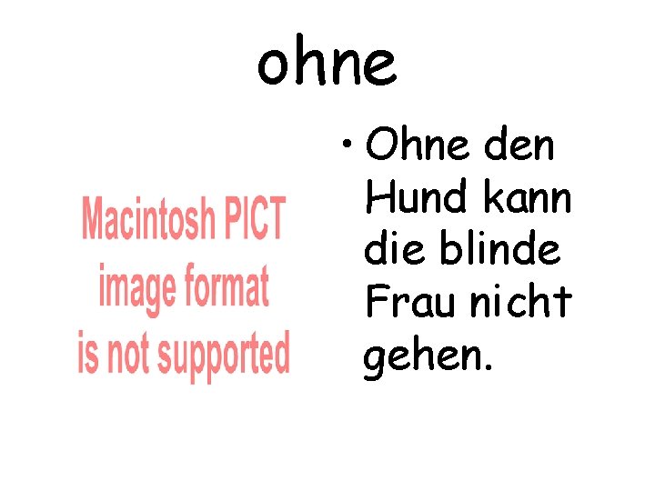 ohne • Ohne den Hund kann die blinde Frau nicht gehen. 