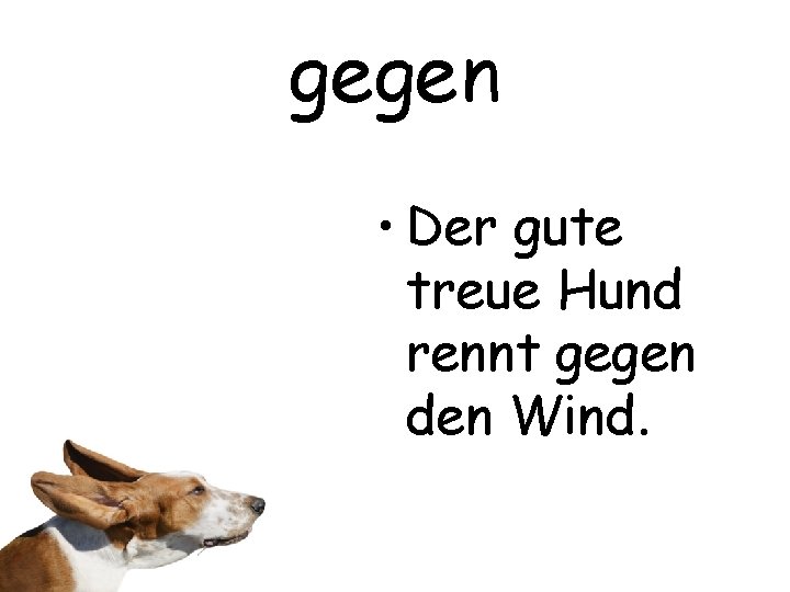 gegen • Der gute treue Hund rennt gegen den Wind. 