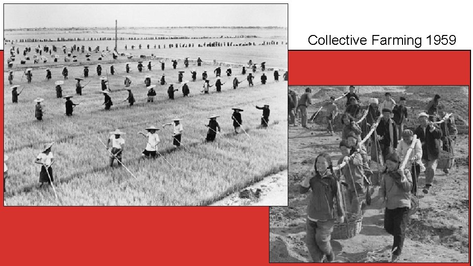 Collective Farming 1959 