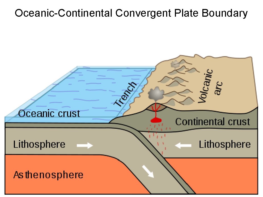 Oceanic-Continental Convergent Plate Boundary 